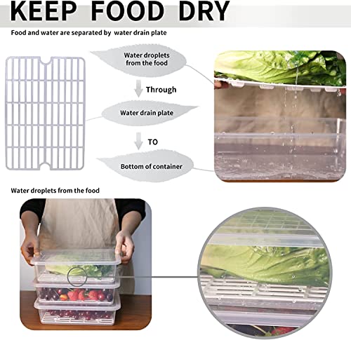 Fridge Storage Box -TEKCOOL (Pack of 6), Fridge Organiser Storage Boxes with Removable Drain Plate, Lids, Stackable Organizer, Fridge Storage Box Keep Fruits, Vegetables Fresher, 1500 ML