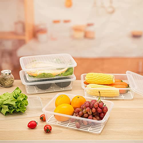 Fridge Storage Box -TEKCOOL (Pack of 6), Fridge Organiser Storage Boxes with Removable Drain Plate, Lids, Stackable Organizer, Fridge Storage Box Keep Fruits, Vegetables Fresher, 1500 ML